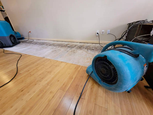 Professional Water Removal technician working in Waterboro, ME